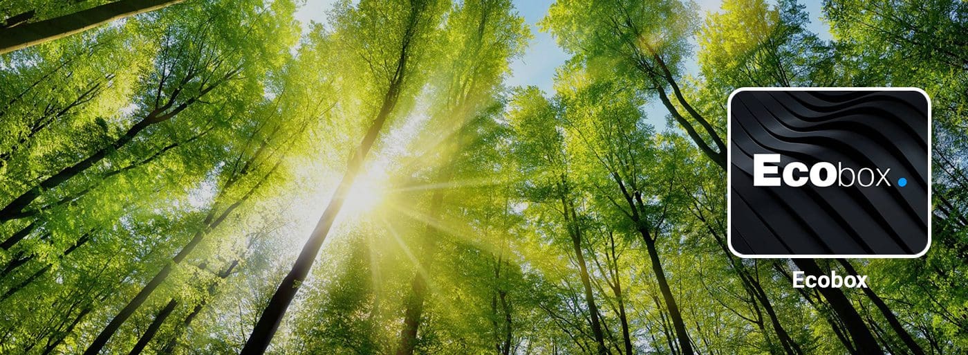 Application Ecobox Forêt verte ensoleillée